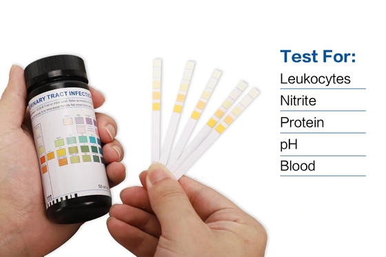 Women Men Urinalysis Test Strips ชุดทดสอบ Uti ที่บ้าน