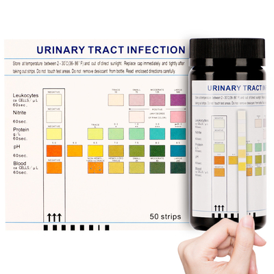 Women Men Urinalysis Test Strips ชุดทดสอบ Uti ที่บ้าน