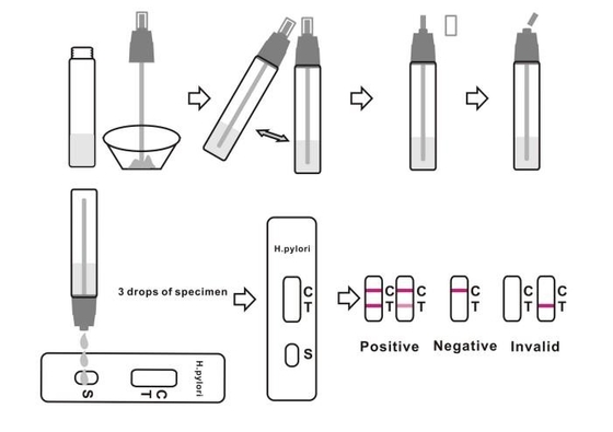 โรคติดเชื้อ ชุดทดสอบอุจจาระ H Pylori Helicobacter Pylori Antigen Instant