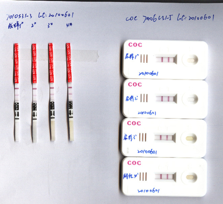 หน้าแรก CLO ชุดทดสอบการใช้สารเสพติดในปัสสาวะ Clonazepam 400ng/Ml