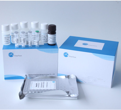 ชุดทดสอบ Angiotensin I Converting Enzyme ACE Elisa INVBIO