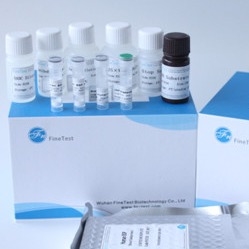 Fsc ได้รับการรับรอง Elisa Kit Human Ifnw1 Interferon Omega-1